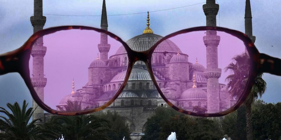 turkey rose glasses