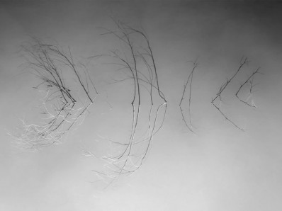 Blurring the Line