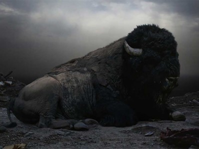 buffalo-story Mistress Wael