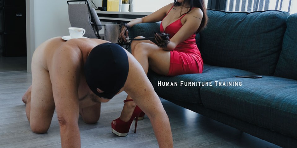 human-furniture-training