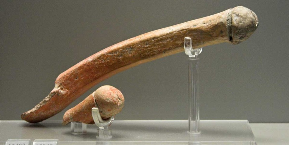 phallus
