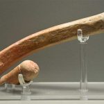 Phallus !!!  Phallus you say?  Shalt I suck thee?