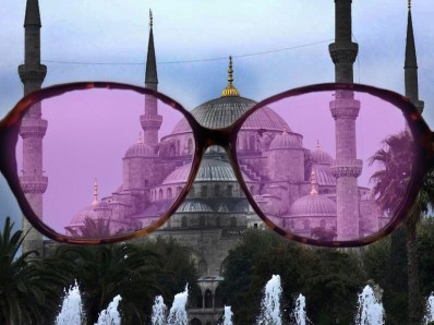 turkey rose glasses