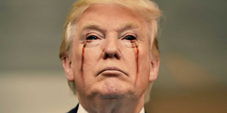 trump femdom bdsm
