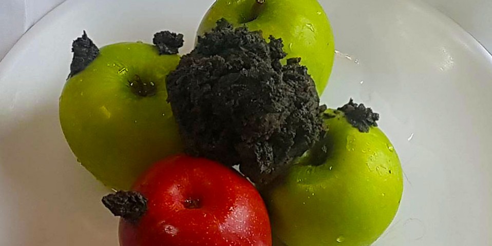 toilet slave training